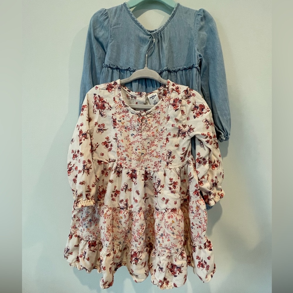 OshKosh‎ Bigosh Girls Dresses Size 2T